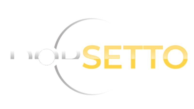 Logo mit dem Wort MINDSETTO, wobei MIND in verblasstem Grau, SET in fettem Gelb und TO in Weiß dargestellt ist. Ein teilweiser grauer Kreis umgibt den ersten Teil des Textes.